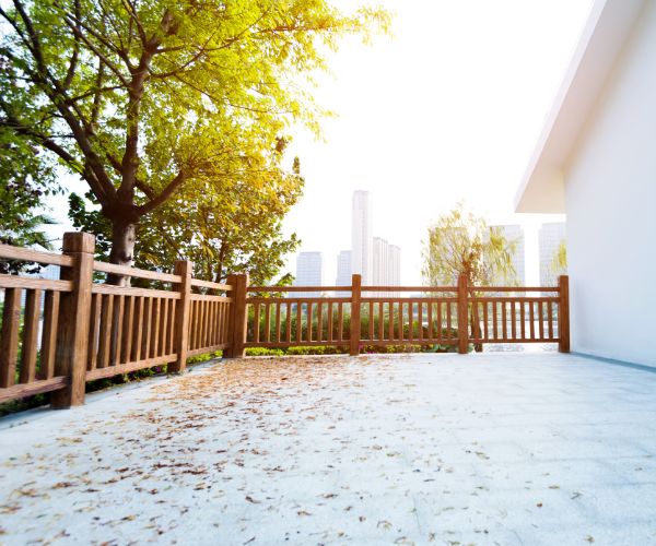healthy trees around deck